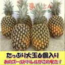 ゴールドバレルパイン大玉5〜6個入り1玉=2kg前後2022年・沖縄石垣島産全国送料無料!