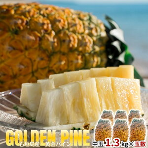 y2026NċGs̔z pCibv2ʖ2.6kg~6ʖ7.8kgySzpCAbvEpCibvEґEjEE񂹃OEΊ_E񂹁EMtgEv