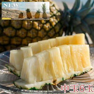 y2026NċGs̔z Th`F2ʖ1.9kg~6ʖ5.7kgySzpCAbvEpCibvE񂹃OEΊ_E񂹁EMtgEv[gEt[cE