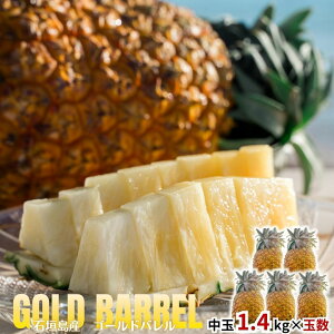 y2026NċGs̔z S[hopC2ʖ2.8kg~6ʖ8.4kgySzpCibvEjE񂹃OEΊ_E񂹁EMtgEv[gEt[cE