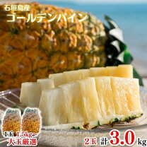 楽天市場】ゴールドバレル 石垣島の通販