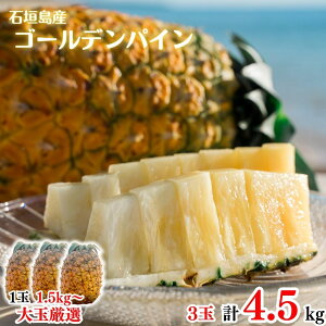 y2026NċGs̔z ʉpCibv3ʖ4.5kgySzpCAbvEpCibvEґEjEE񂹃OEΊ_E񂹁EMtgEv[