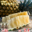 【先行予約セール！】【2026年夏季発送先行販売】 大玉サンドルチェ2玉約2.4kg【全国送料無料】パインアップル・パイ…