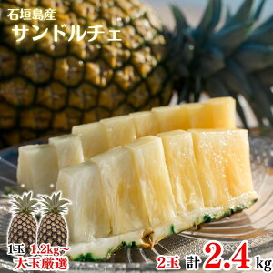 y2026NċGs̔z ʃTh`F2ʖ2.4kgySzpCAbvEpCibvEґEjEE񂹃OEΊ_E񂹁EMtgEv[g