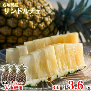 y2026NċGs̔z ʃTh`F3ʖ3.6kgySzpCAbvEpCibvEґEjEE񂹃OEΊ_E񂹁EMtgEv[g