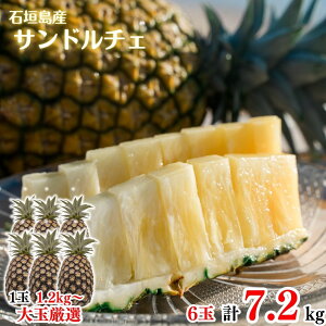 y2026NċGs̔z ʃTh`F6ʖ7.2kgySzpCAbvEpCibvEґEjEE񂹃OEΊ_E񂹁EMtgEv[g