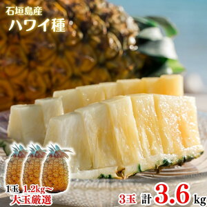 y2026NċGs̔z ʃnCEpC3ʖ3.6kgySzpCAbvEpCibvEґEjEE񂹃OEΊ_E񂹁EMtgEv