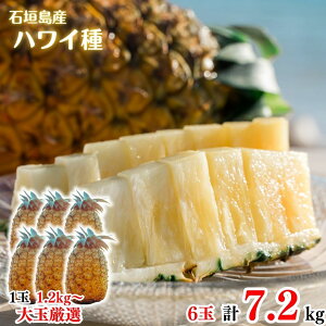 y2026NċGs̔z ʃnCEpC6ʖ7.2kgySzpCAbvEpCibvEґEjEE񂹃OEΊ_E񂹁EMtgEv