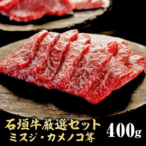 y}\200~IzyΊ_ēp(ԐgEn)400gzIꂽґȑf(2200ǧv400g)ySzјaEaEEґEjEE񂹃OE