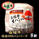石垣牛100%ハンバーグ8個~20個入り冷凍便・送料無料 【smtb-MS】