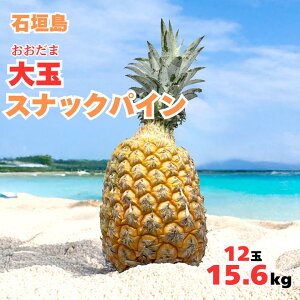 y2026NċGs̔z ʃXibNpC12ʖ15.6kgySzpCAbvEpCibvEYEΊ_YEYEjEE񂹃OE񂹁EMtg