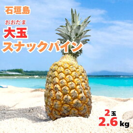 【2026年夏季発送先行販売】 大玉スナックパイン2玉2.6kg【全国送料無料】パインアップル・パイナップル・贅沢・御祝・御礼・お取り寄せグルメ・石垣島・お取り寄せ・ギフト・プレゼント・フルーツ・お中元・お歳暮