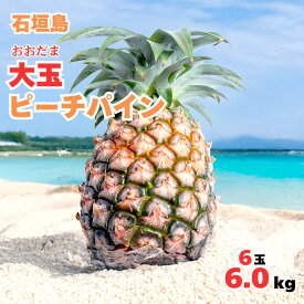【2026年夏季発送先行販売】 大玉ピーチパイン6玉約6.0kg【全国送料無料】パインアップル・パイナップル・贅沢・御祝・お取り寄せグルメ・石垣島・お取り寄せ・ギフト・プレゼント・フルーツ・お中元・御中元・お歳暮