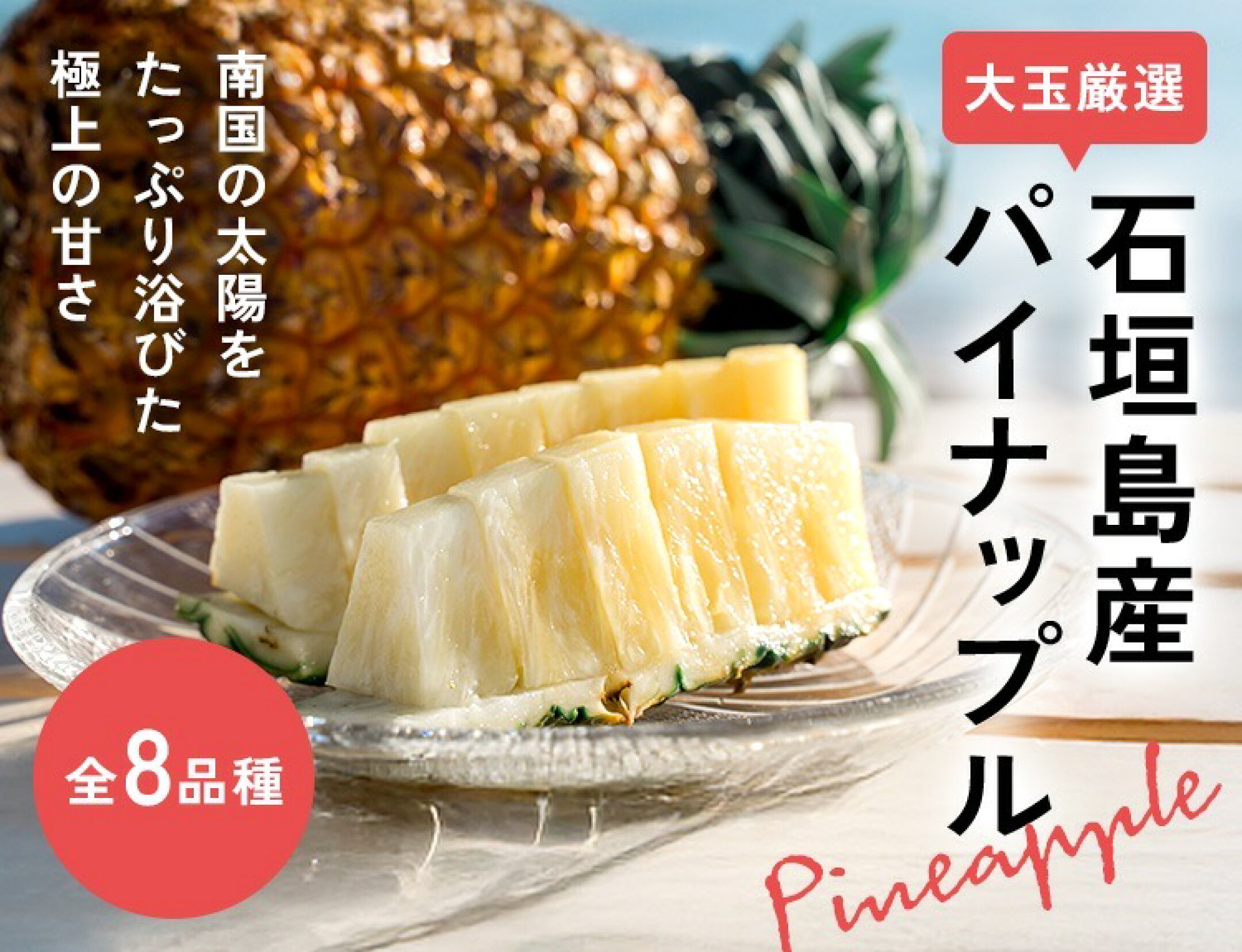 石垣島産 　天然もずく