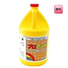 プロアシド 3.8L 送料無料 ハードフロア用強酸クリーナー S.M.S.ジャパン メーカー直送指定不可 業務用洗剤 SMSJAPAN
