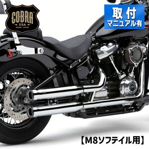 Ru[Xv`bv 3C` XbvI}t[ N[ Race-Pro tipsy18Nȍ~ \teCz Cobra