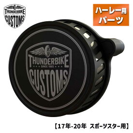 サンダーバイク■ニューカスタム パワーフィルターキット 【17年-20年 スポーツスター】 Thunderbike Powerfilter-Kit New Custom for Sportster 17-later (Euro 4)