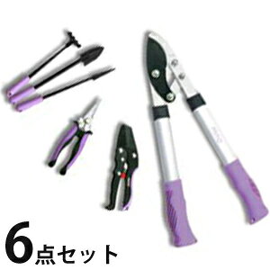 yoׁz͂̂ȂK[fjO 6_Zbg GS-6C̒ʔ́yz