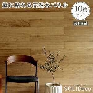 _y[WEJ[hP[Xt^@SOLIDECO \fR ǂɓ\VR؃pl 10g SLDC-10P yz