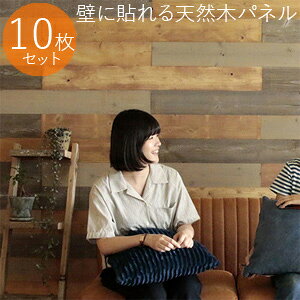 yz SOLIDECO \fR ǂɓ\VR؃pl 10g SLDC-10P [VR؂ɂ̃XeChȕǖʃpl]