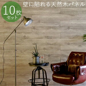 yz SOLIDECO \fR ǂɓ\VR؃pl 10g SLDCPR-10P v~AV[Y [{̑fފƖؖڂɂЂƖڂœBt̕Ǘppl]