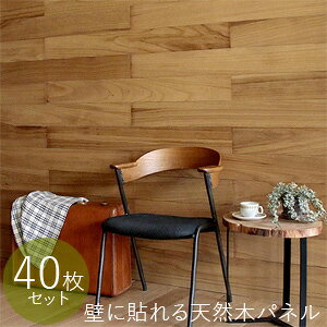 yz SOLIDECO \fR ǂɓ\VR؃pl 40g SLDC-40P [\邾ŕǂȕǂɃtH[łؐ EH[pl]