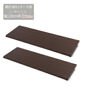 \ページ限定・カードケース付/ 間仕切りパーテーション専用棚板2枚組 幅120cm 【送料無料】