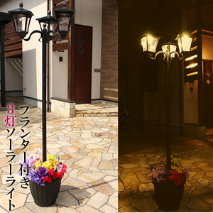 玄関 鉢植え 木の人気商品 通販 価格比較 価格 Com