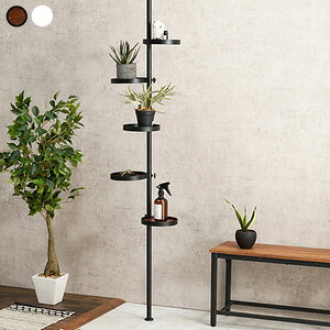 _y[WEJ[hP[Xt^@˂_ p[c6_Zbg ی^gC KTR-3116 yz mς |[nK[ IV ˂_ k bN]