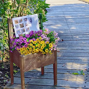 _y[WEJ[hP[Xt^@VRؐ `FA^v^[X^h 40cm CP40 yz mؐv^[bN `FA^ K[fX^h ؐ ԑ IVn