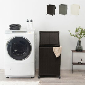 ＼ページ限定・カードケース付／　キャスター付収納ボックス RUD-2422【送料無料】