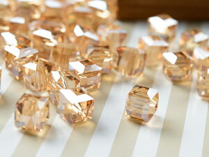 yz AN XNGA^r[Y Vp 10 lbNX uXbg sAX ANZT[p[c