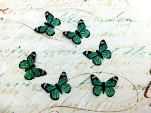 yz y1`zAȒ`[t O[ W ^CvD WNtg fRf W  ޗ ANZT[p[c ANZT[p[c ޗ f