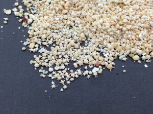 yz ̍  yeʔŁz30g W  ޗ  C l nhCh W ANZT[p[c