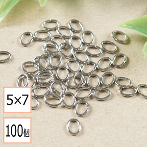 yzyT[WJXeX 316 z CJ Vo[ 5×7mm 100 XeX p[c AM[΍ ANZT[p[c ≮ X