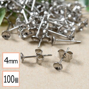 yzyT[WJXeX 316 z 4mm Jbv sAX Vo[×Vo[Lb`Zbg 100 (50yA) AM[΍ ANZT[p[c ≮ X