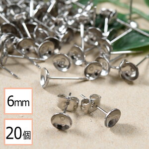 yzyT[WJXeX 316 z 6mm Jbv sAX Vo[×Vo[Lb`Zbg 20 (10yA) AM[΍ ANZT[p[c ≮ X