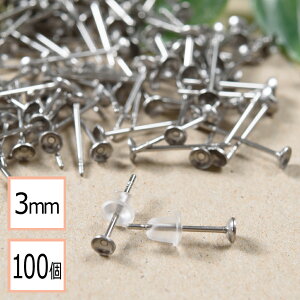 yzyT[WJXeX 316 z 3mm Jbv sAX Vo[×VRLb`Zbg 100 (50yA) AM[΍ ANZT[p[c ≮ X