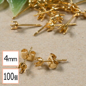 yzyT[WJXeX 316 z 4mm Ē ΍  sAX S[h×S[hLb`Zbg 100 (50yA) AM[΍ ANZT[p[c ≮ X