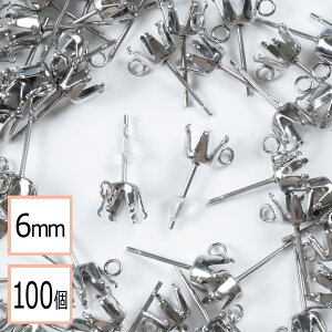 yzyT[WJXeX 316 z 6mm Ē ΍  sAX Jt Vo[×VRLb`Zbg 100 (50yA) AM[΍ ANZT[p[c ≮ X