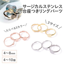 ●＼＼お買い物マラソン全品P10倍／／ 【毎日発送】【サージカルステンレス 316 】 リング パーツ ゴールド シルバー ピンクゴールド タイプB 4mm / 6mm / 8mm 4個〜10個 指輪 台座 ハンドメイド 金具 手芸 パーツ 金属アレルギー対策 アクセサリーパーツ 問屋 専門店