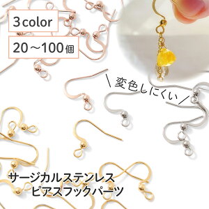 __yVX[p[SALE SiP10{^^ yz yT[WJXeX 316z sAXtbN S[h Vo[ sNS[h 20`100 ^CvB XeX p[c  AM