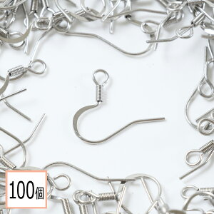 yzyT[WJXeX 316 z sAXtbN Vo[ 100 ^CvD nhCh AM[΍ ANZT[p[c ≮ X