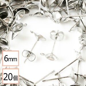 yzyT[WJXeX 316 z 6mm Jbv sAX Jt Vo[×Vo[Lb`Zbg 20 (10yA) AM[΍ ANZT[p[c ≮ X