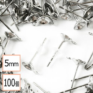 yzyT[WJXeX 316 z 5mm Jbv sAX Jt Vo[×VRLb`Zbg 100 (50yA) AM[΍ ANZT[p[c ≮ X