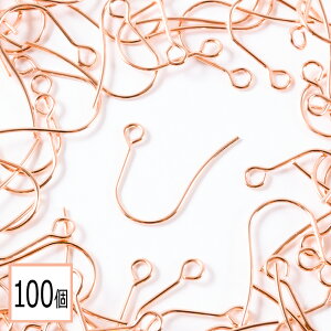 yzyT[WJXeX 316 z sAXtbN sNS[h 100 (50yA) ^CvF nhCh AM[΍ ANZT[p[c ≮ X