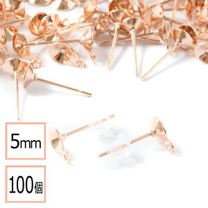 yzyT[WJXeX 316 z 5mm Jbv sAX Jt sNS[h×VRLb`Zbg 100 (50yA) AM[΍ ANZT[p[c ≮ X