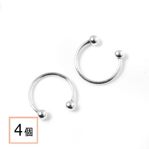 yzyT[WJXeX 316 z C[Jt Vo[ ^CvA 4 nhCh CO p[c AM[΍ ANZT[p[c ≮ X