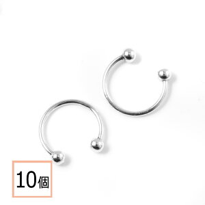 yzyT[WJXeX 316 z C[Jt Vo[ ^CvA 10 nhCh CO p[c AM[΍ ANZT[p[c ≮ X