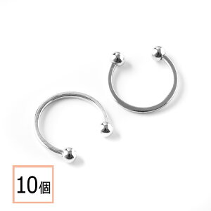 yzyT[WJXeX 316 z C[Jt Vo[ ^CvB 10 nhCh CO p[c AM[΍ ANZT[p[c ≮ X